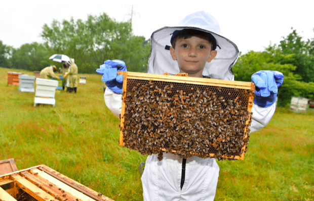 Beş Yaşındaki Arı Yetiştiricisinin Hikayesi